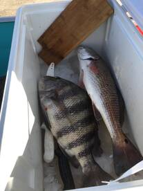 Jacksonville Report Photo 2