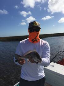 Jacksonville Report Photo 1