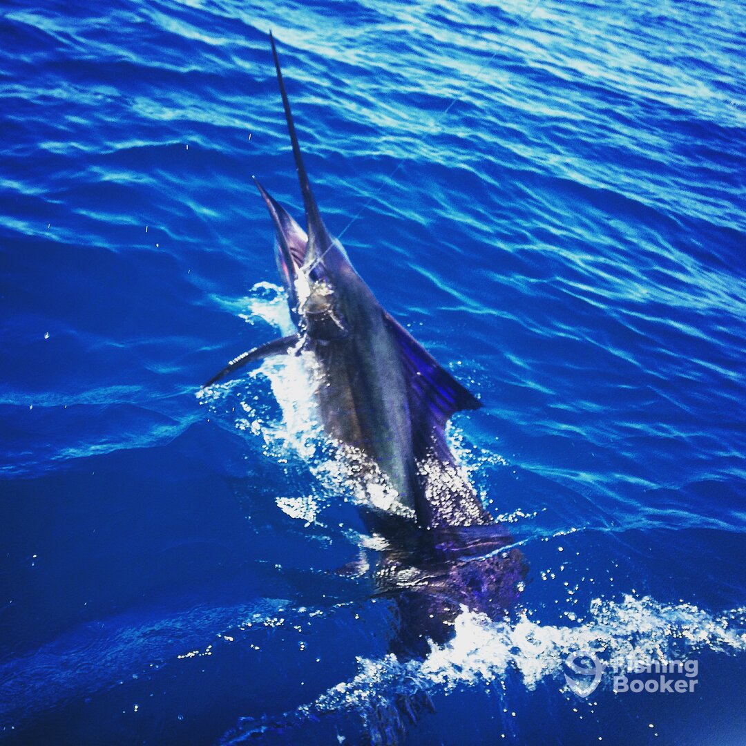 Iztapa Report Photo 0