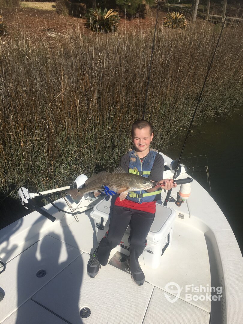 Mount Pleasant Report Photo 0