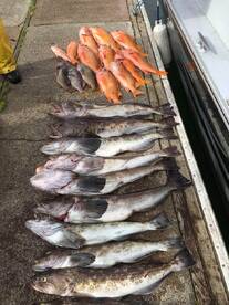 Deep water trophy Lings 