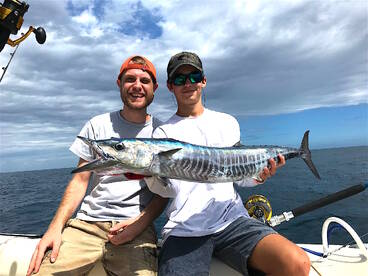 Wahoo hitting around full moon