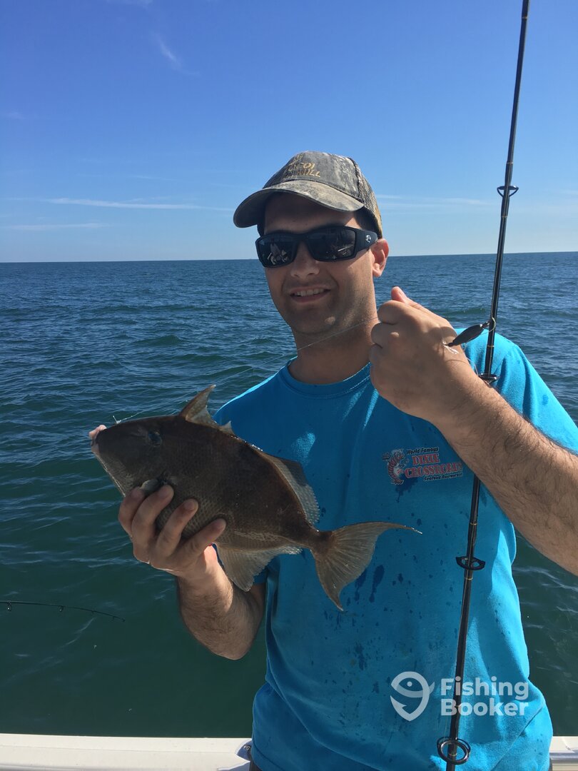 Virginia Beach Report Photo 0