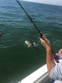 Virginia Beach Report Photo 2