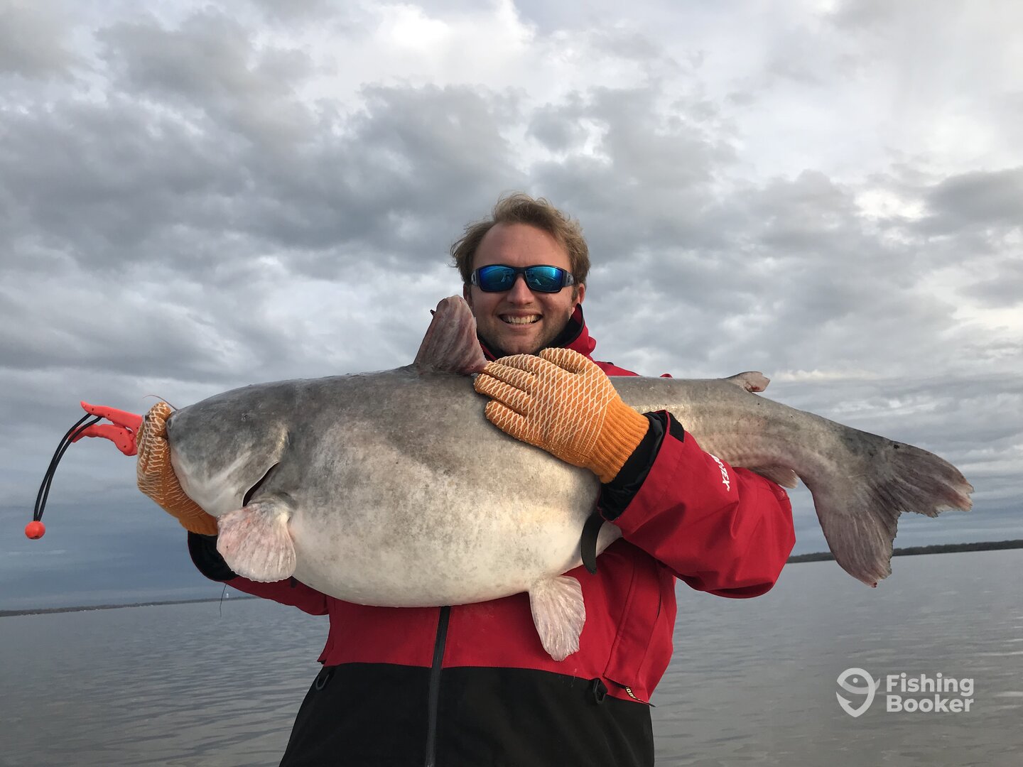 Quinlan Report Photo 0