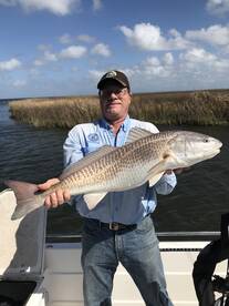 St. Bernard Report Photo 1