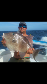 Foto Report Orange Beach 2