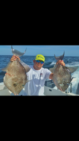 Triggerfish