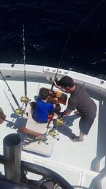 Quepos Report Photo 2