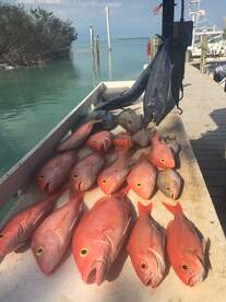 Islamorada Verslag Foto 2