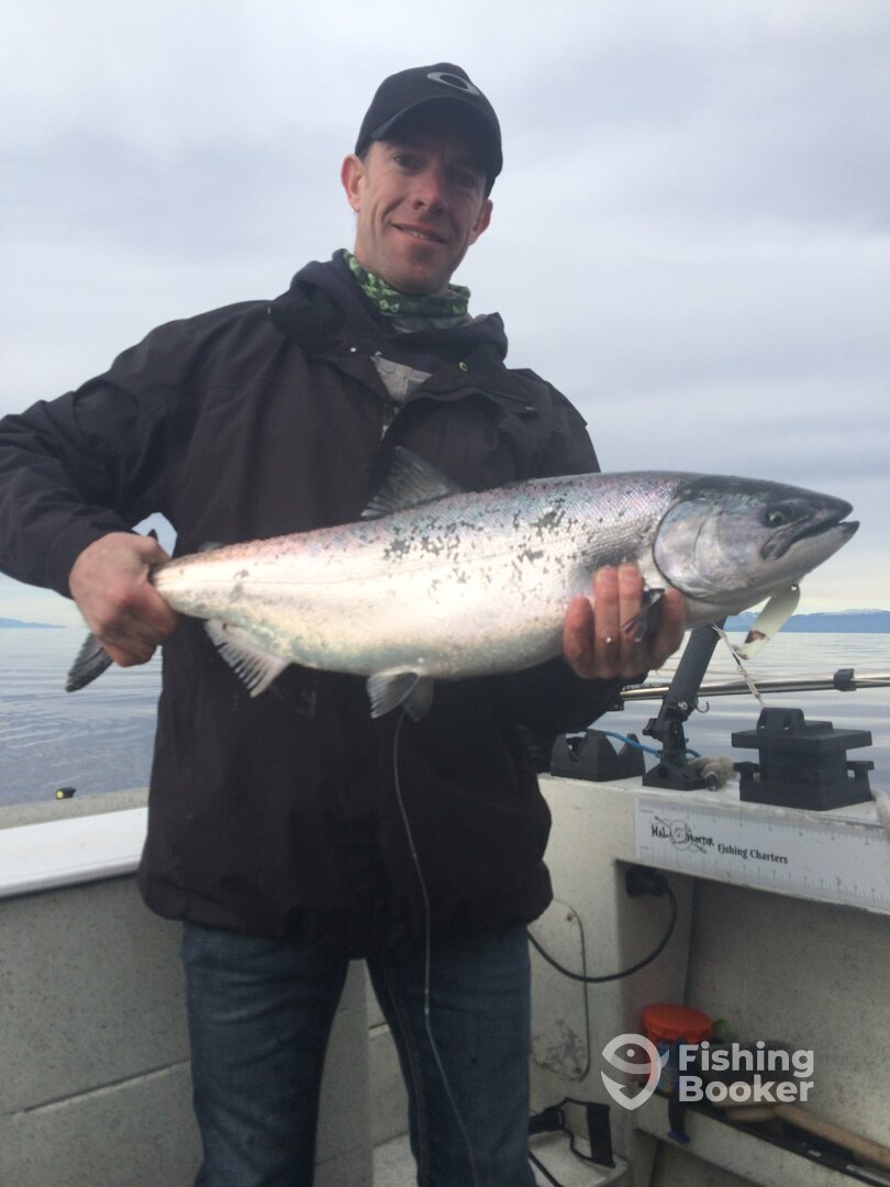 Comox Report Photo 0