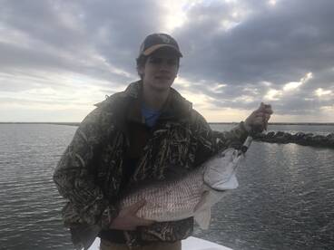 St. Bernard Report Photo 2