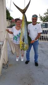 The Mahis, wahoos, tunas, sails and more