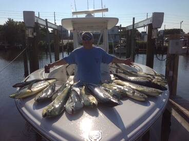 the Mahi are here!!!!