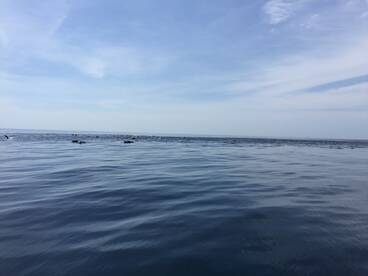 Herradura Report Photo 2