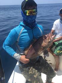 Herradura Report Photo 1