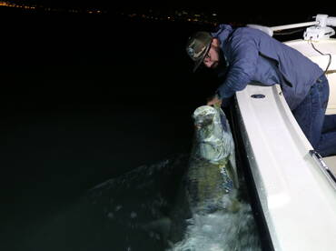 Miami Report Photo 2