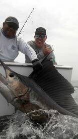 Quepos Report Photo 1