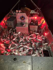 Rockport, Tx flounder gigging 