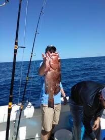 Fort Myers Report Photo 1