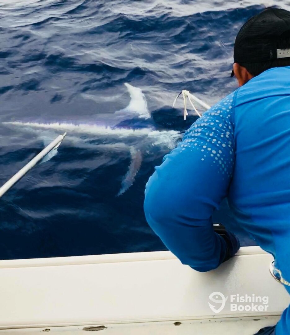 Puerto Aventuras Report Photo 0