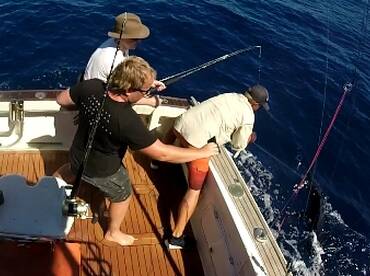 Sydney Report Photo 1