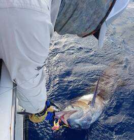 Sydney Report Photo 2