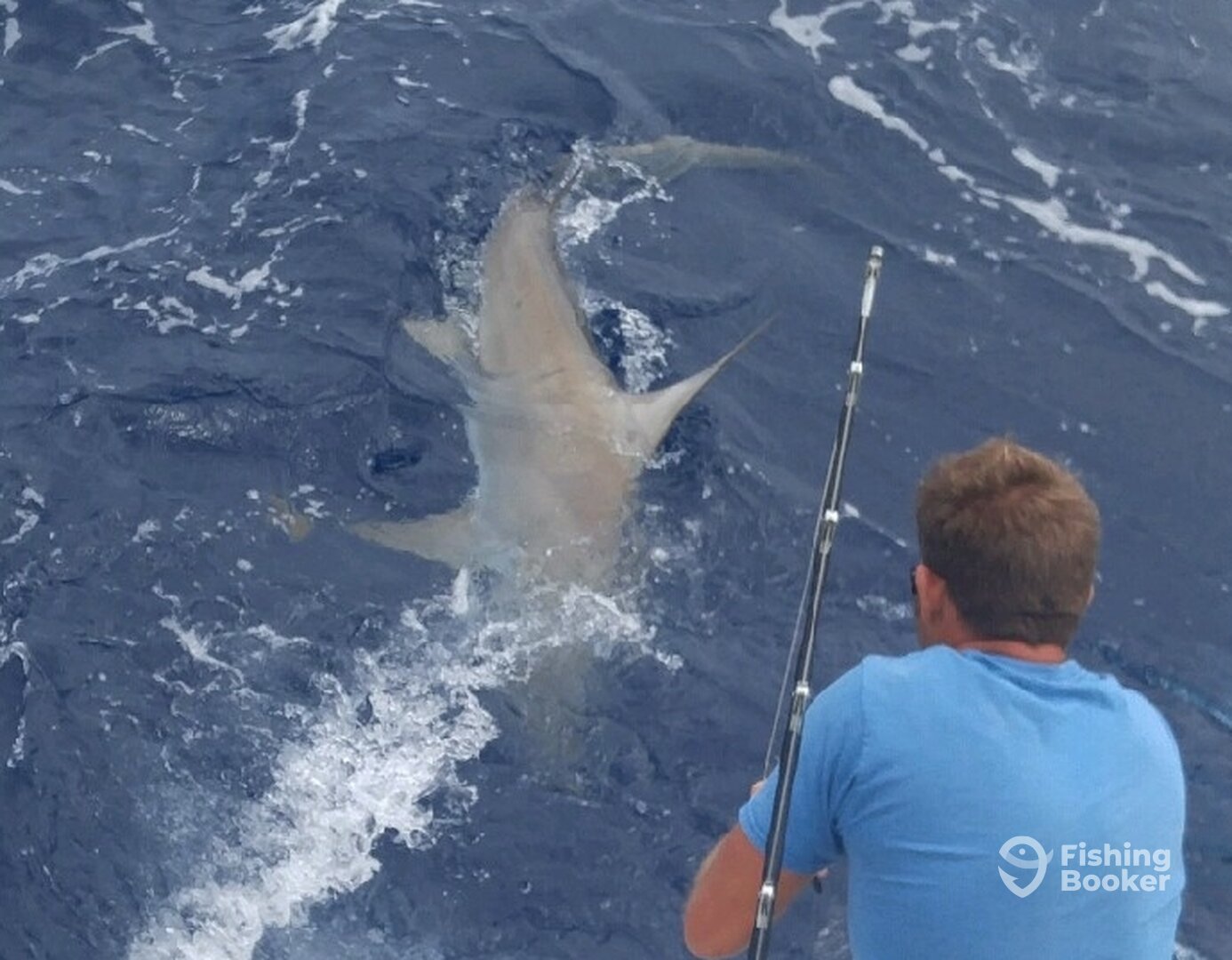 Fort Lauderdale Report Photo 0