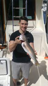 Fort Lauderdale Report Photo 2