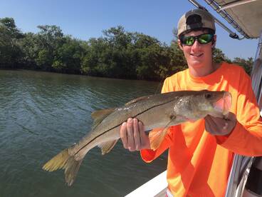 Foto Report Sarasota 1