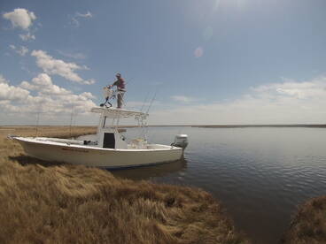 Striper and shad fishing on the roanoke