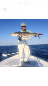 Cobia and snappers