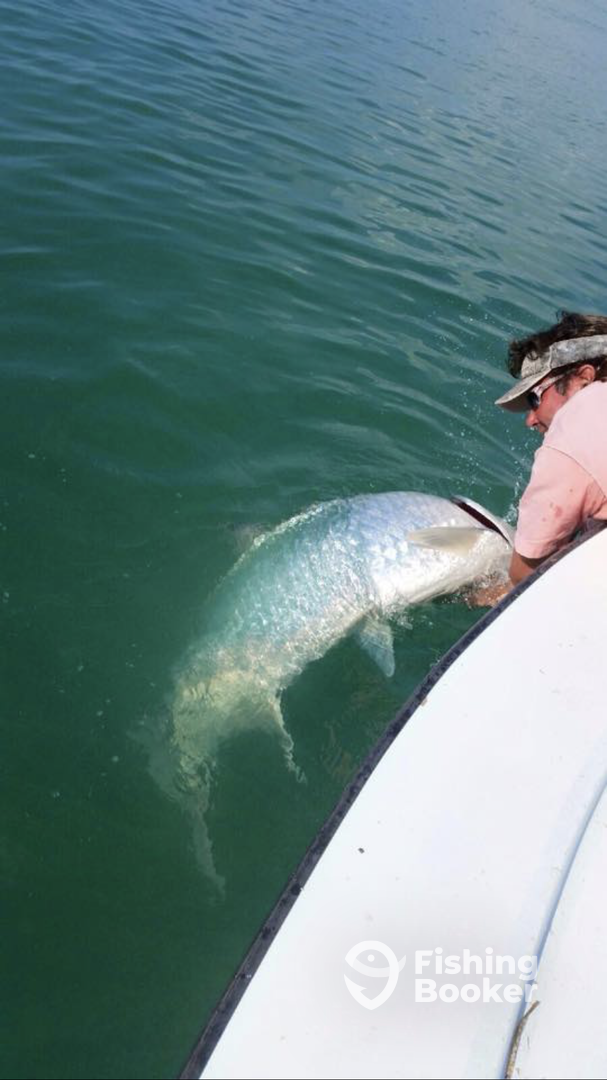 TARPON