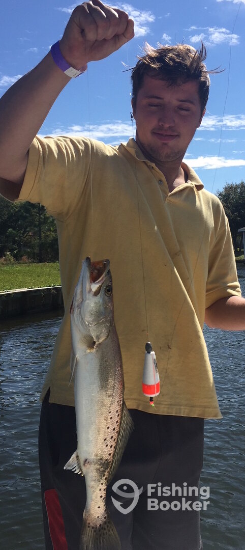 Trout with bite marks