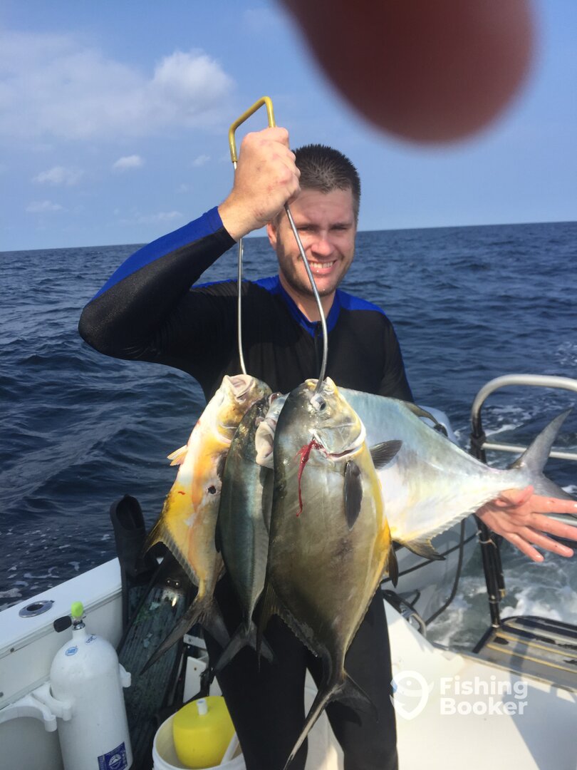 11/2017 Permit (Speared) They are back now 3/2018