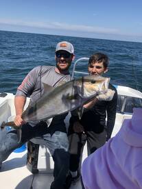 Orange Beach Report Photo 1