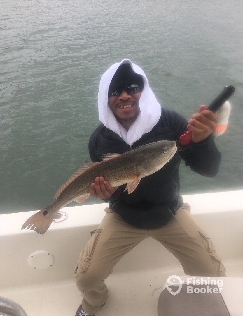 Mount Pleasant Report Photo 0