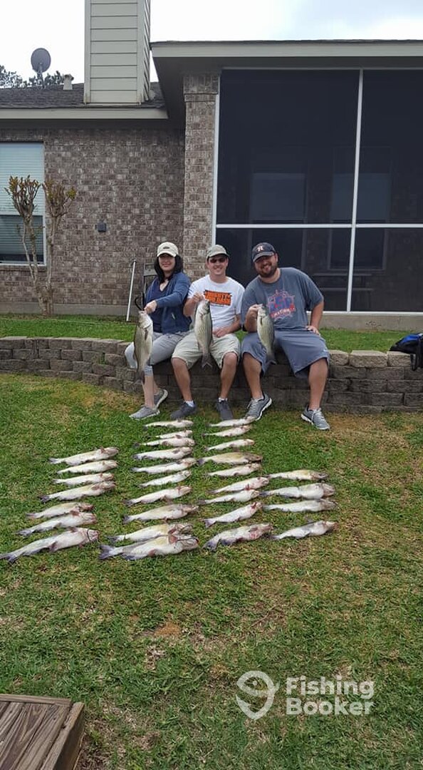 Conroe Report Photo 0