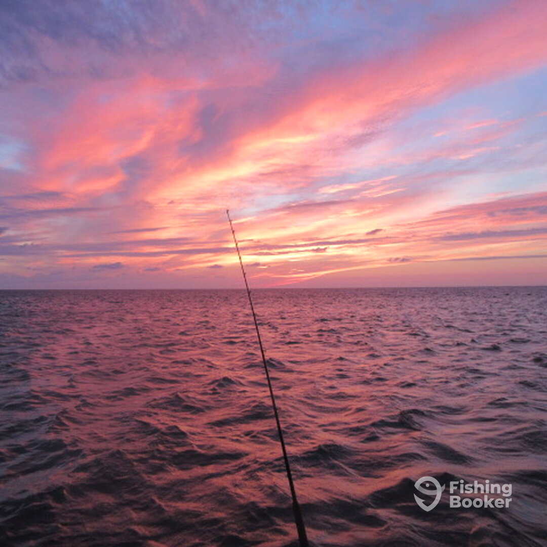 Ocracoke Report Photo 0