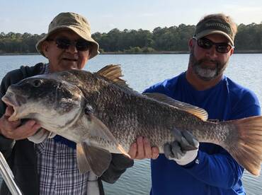 Great day for Drums..!!