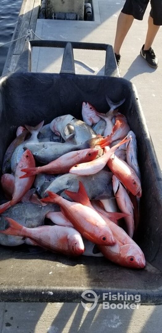 Jacksonville Report Photo 0