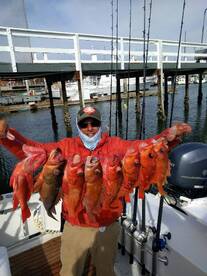 Great Quality Reds On My Secret Spot Hal