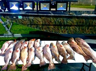 Port Sulphur Report Photo 2