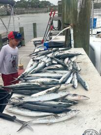 Destin Report Photo 2