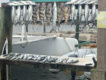 Destin Report Photo 1