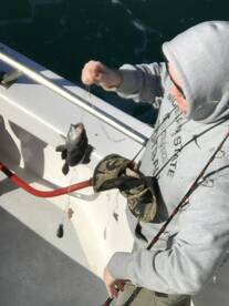 Calabash Report Photo 1