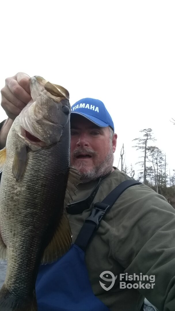 Kitty Hawk Report Photo 0