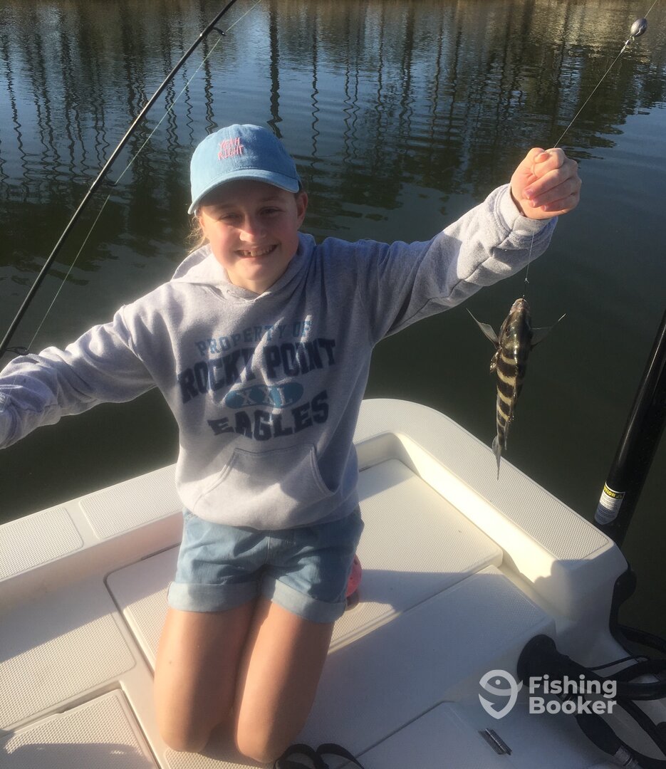 Mount Pleasant Report Photo 0