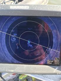 Whittington Report Photo 1