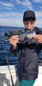 Jacksonville Report Photo 1